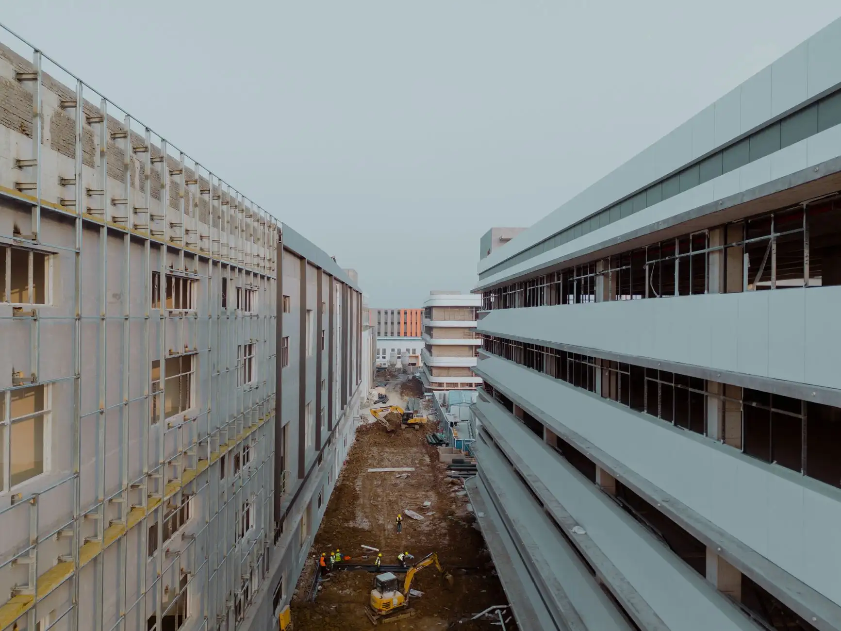 海南椰子饮品市场2025年供需趋势与陵水产区优势分析正文配图 2